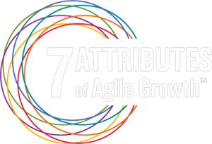 7 Attributes of Agile Growth